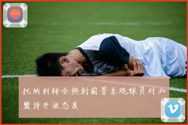 托纳利转会热刺前景乐观球员对加盟持开放态度